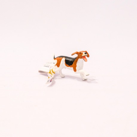 papo Cão (Beagle)
