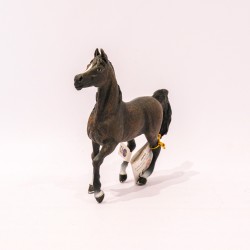 papo Cavalo