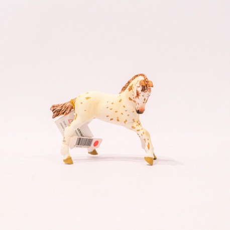 papo Cavalo (Brown Appaloosa Foal)