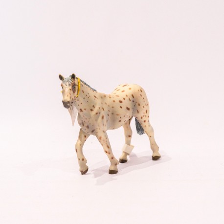 papo Cavalo (Appaloosa Horse)