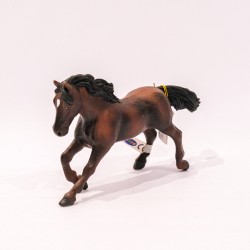papo Cavalo (Andalusian Stallion Bay)