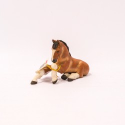 papo Cavalo (Shire Foal Lying)