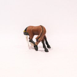 papo Cavalo (Lusitanian Foal)