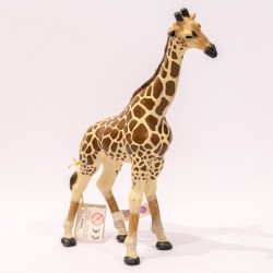 papo Girafa