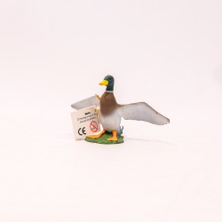 papo Pato (Mallard Duck)