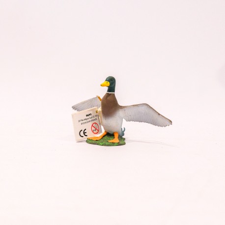 papo Pato (Mallard Duck)