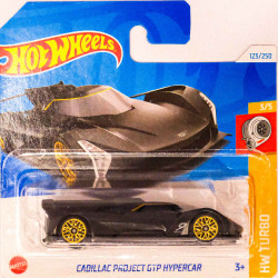 Hotwheels 1:64 Cadillac Project GTP Hypercar