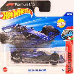 Hotwheels 1:64 Williams Racing